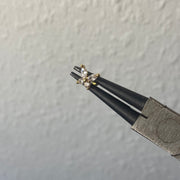 Rosalina helix