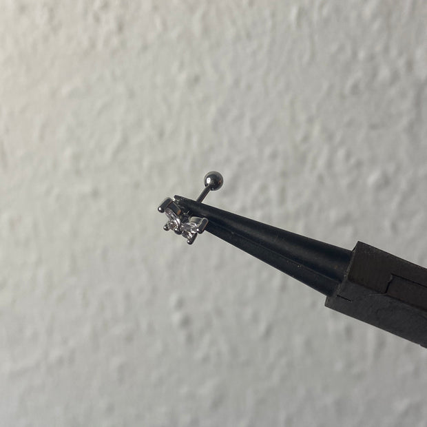 Rosalina helix
