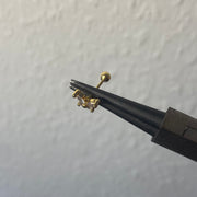 Rosalina helix