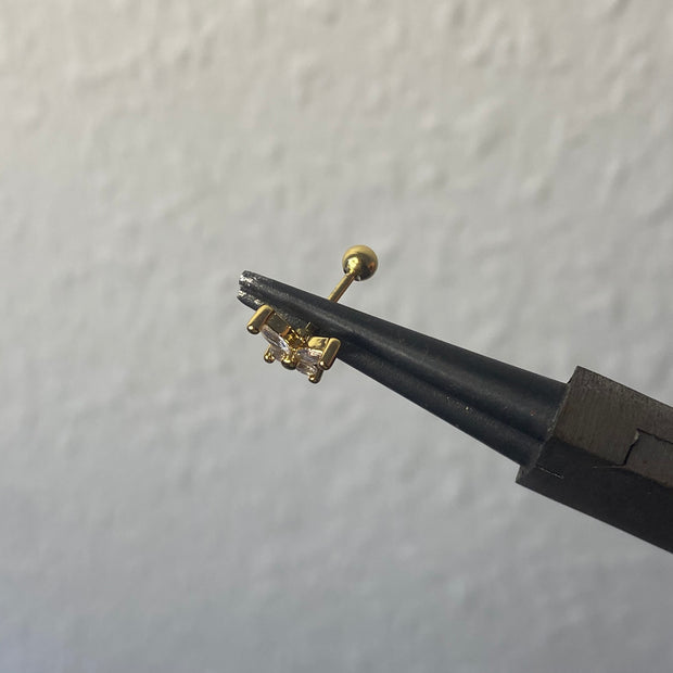 Rosalina helix