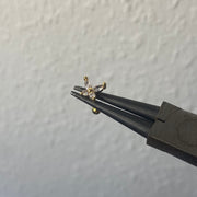 Rosalina helix