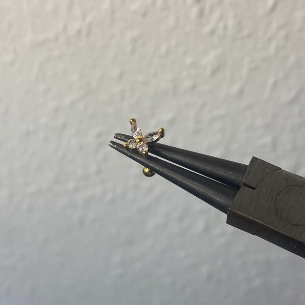 Rosalina helix