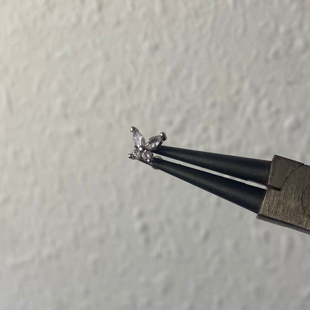 Rosalina helix