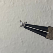 Rosalina helix