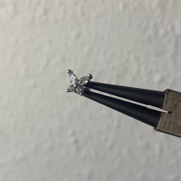 Rosalina helix